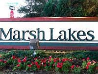 1st image of 313 Marsh Lakes Dr