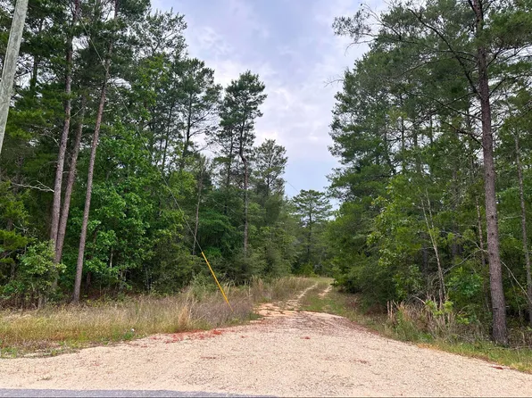 799 Osage Dr, Defuniak Springs, FL 32433
