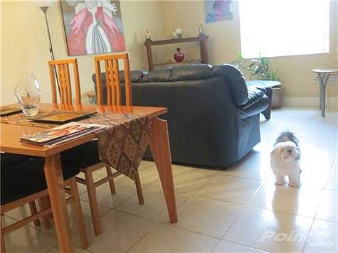 4th image of 5773 NW 116th Ave APT 101