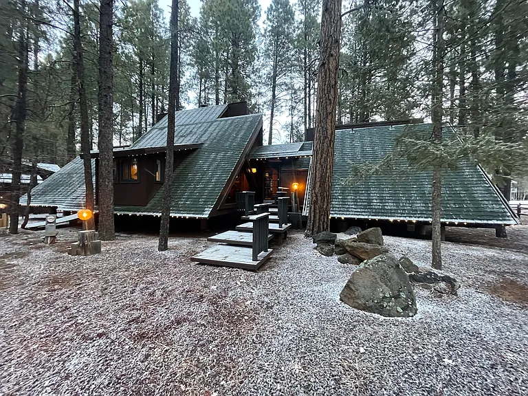 Deep Forest Dr — Photo 49