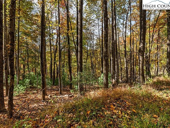 2nd image of TBD - Lot 24 Ben Miller Road