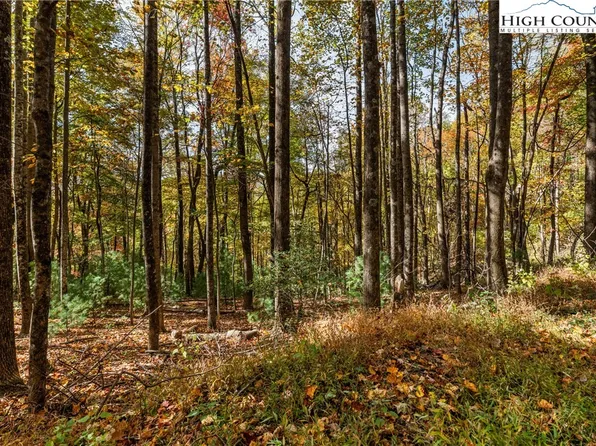 TBD - Lot 24 Ben Miller Road, Deep Gap, NC 28618