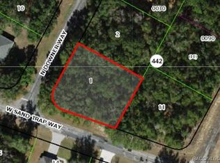 8261 N Downer Way, Citrus Springs, FL 34434