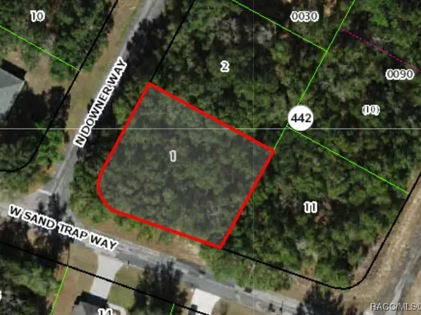 8261 N Downer Way, Citrus Springs, FL 34434