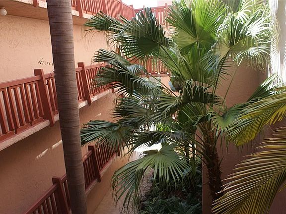 2nd image of 1021 E Mockingbird Lane #313