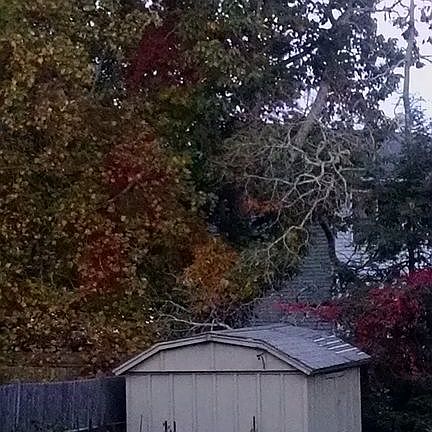 4th image of 43 Elderberry Ln