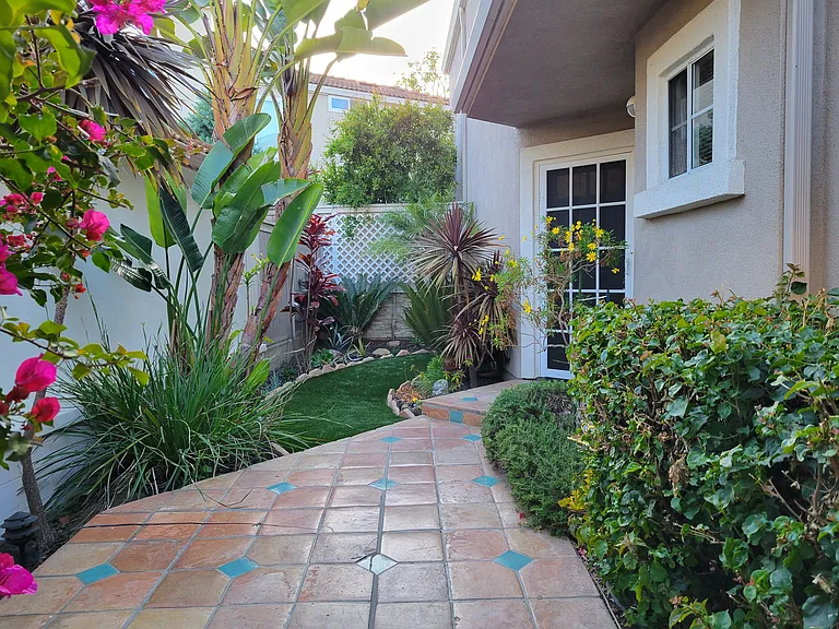 Front yard