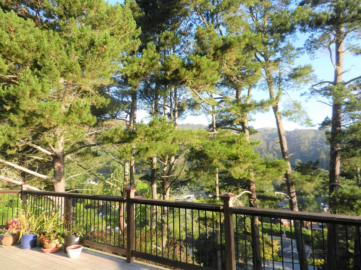 0 Marin Dr — Photo 2