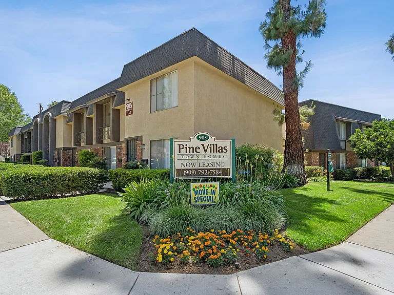Pine Villas — Photo 6