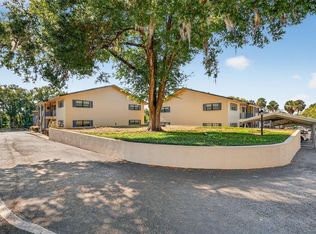 110 N Tremain St APT 105, Mount Dora, FL 32757