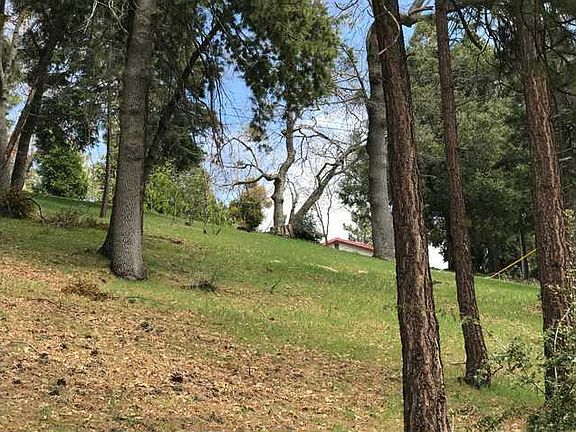 3rd image of 95 Park Dr