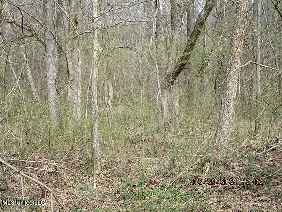 4th image of LOT 2 Highway 4 W Lot 2