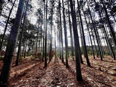 1383 Sawgrass Drive LOT 135, Nekoosa, WI, 54457