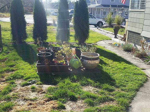 Summer fresh veggies - yum!