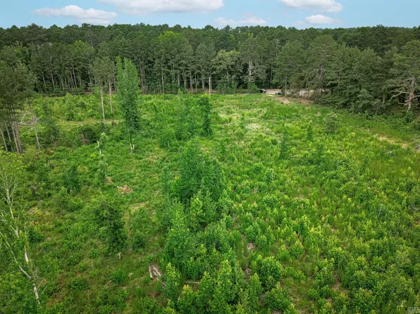 0 Blish Rd Parcel 2, Arkadelphia, AR 71923