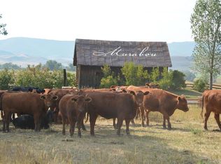 27225 Cowboy Up Rd LOT D7, Steamboat Springs, CO 80487