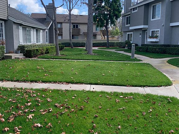 Greenbelt in front of unit
