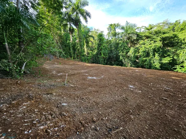 1 Bo Victoria Solar #1B-1033M, Aguadilla, PR 00603