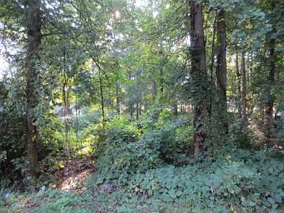 2nd image of 2062 Rockdale Cir