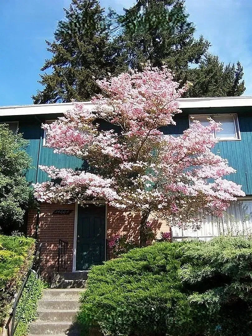 ar14000 — Photo 1
