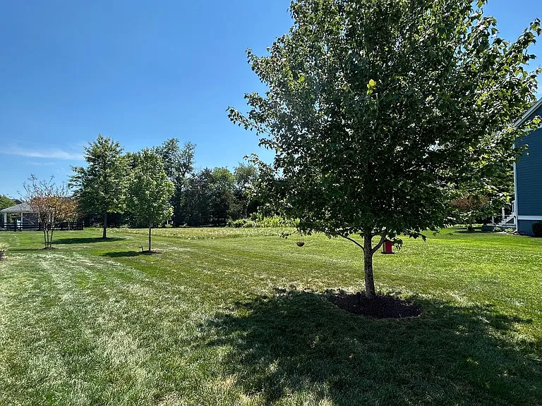 24467 Mint Julep Ln — Photo 6