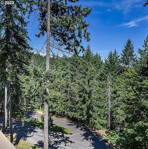 view from the back deck