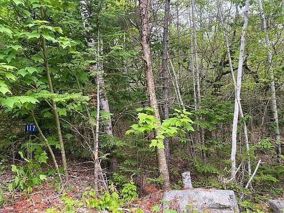 4th image of 117 Shore Rd