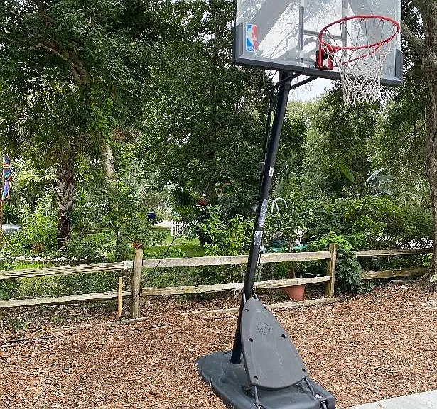 basketball