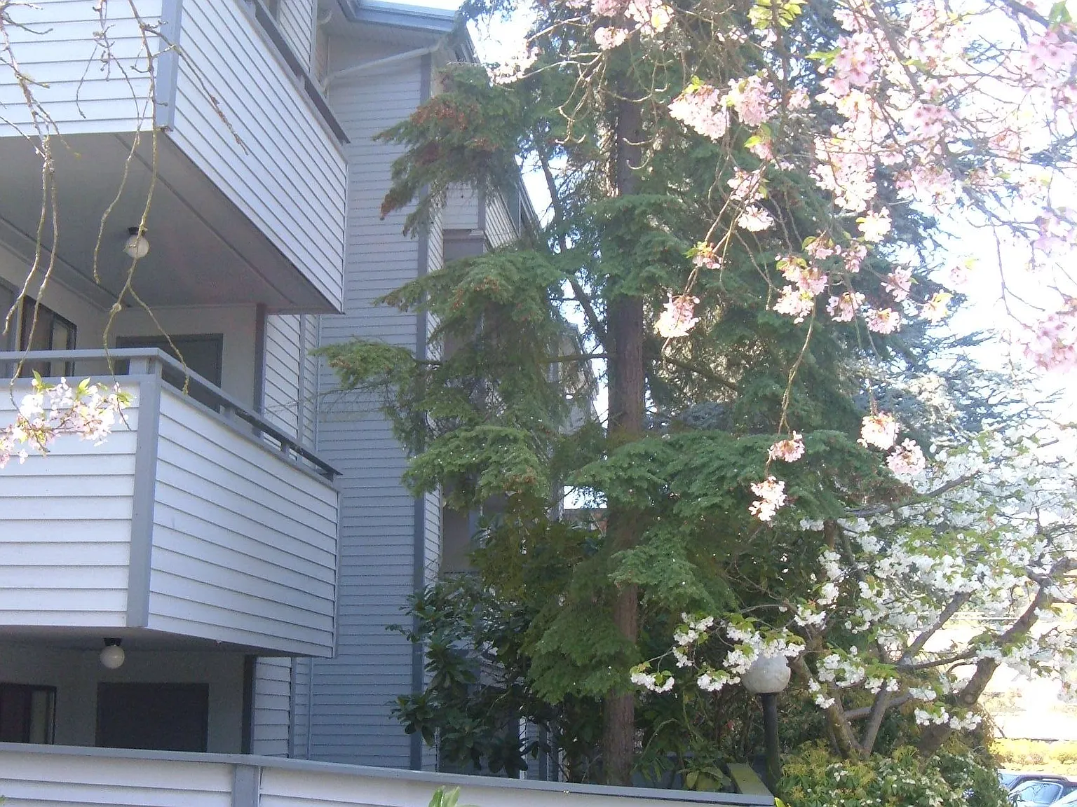 Nor'Easter Apartments — Photo 3