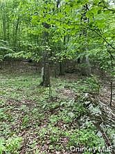 5th image of TBD Hawleys Corners