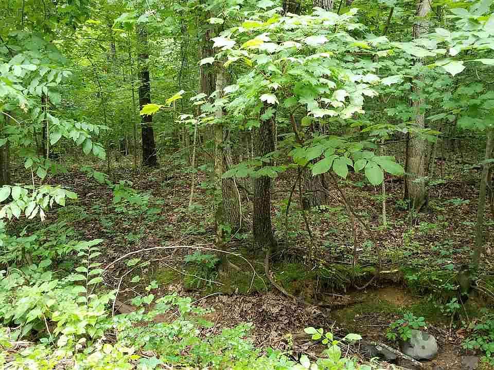 1st image of 201 Autumn Ln Lot 42