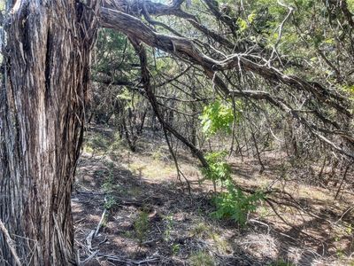 0 S 3rd Ave, Palo Pinto, TX, 76484