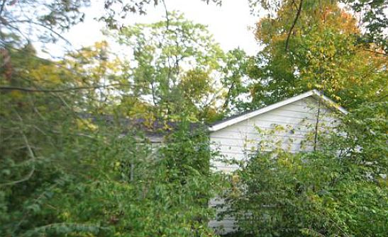 3rd image of 1133 Siler St