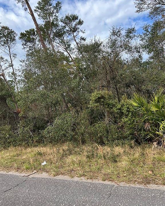 2nd image of Fishermans Rd
