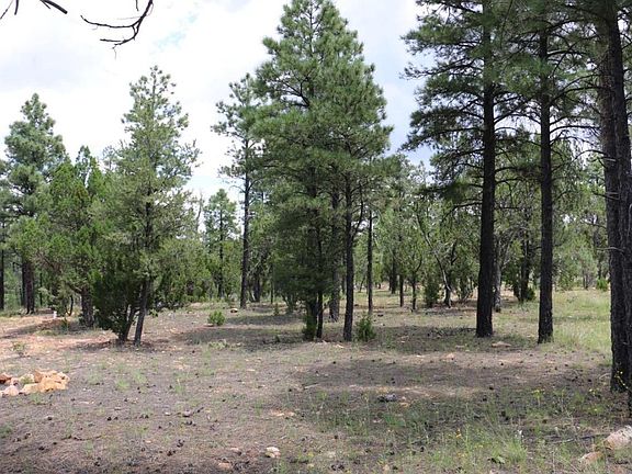 4th image of 1778 Wild Turkey Ln