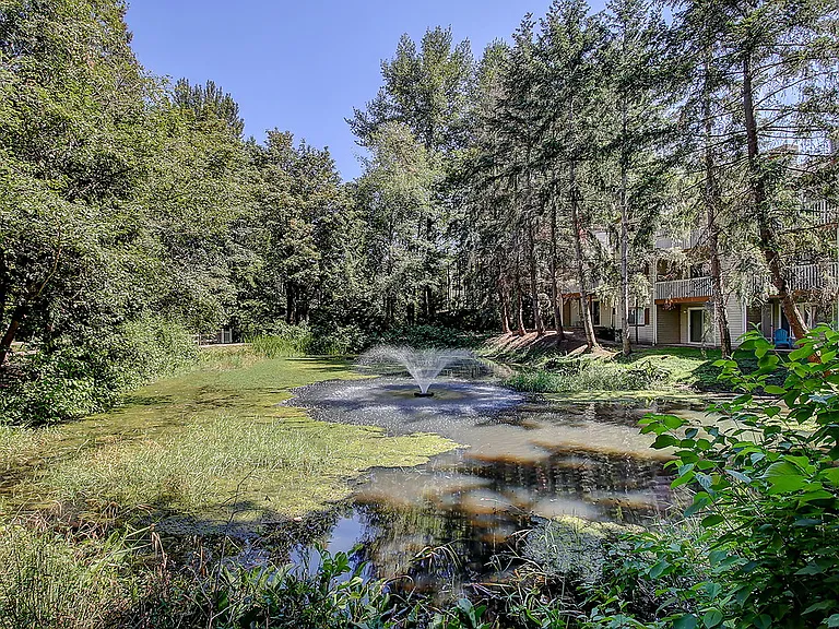 Shadowbrook — Photo 37