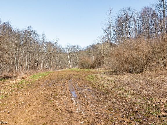 5th image of Sheepskin Ridge Rd