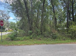 3546 E Diana Ln, Inverness, FL 34453