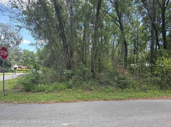 3546 E Diana Ln, Inverness, FL 34453