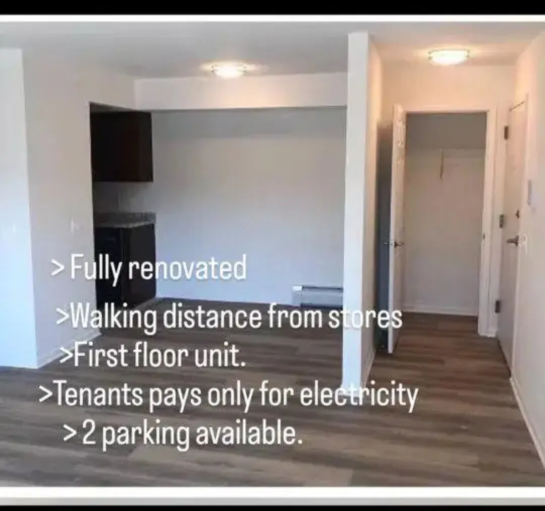 1 bed, 650 sqft, $1,590 — Photo 2