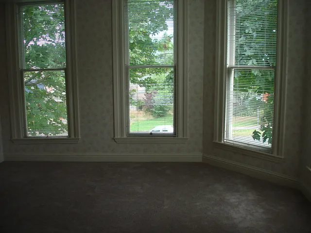 Bay Windows look out onto huge Maple Trees and I Street