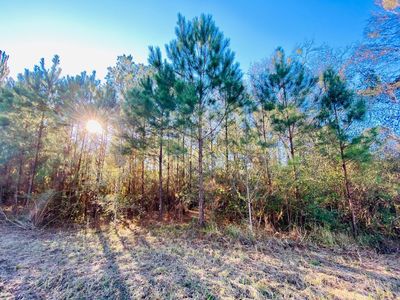 13153 Walker Rd, Gulfport, MS, 39503