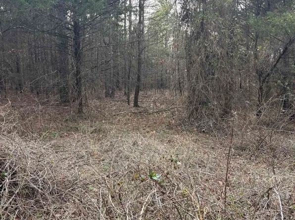 4475-4475 Heber Springs Rd W, Quitman, AR 72131