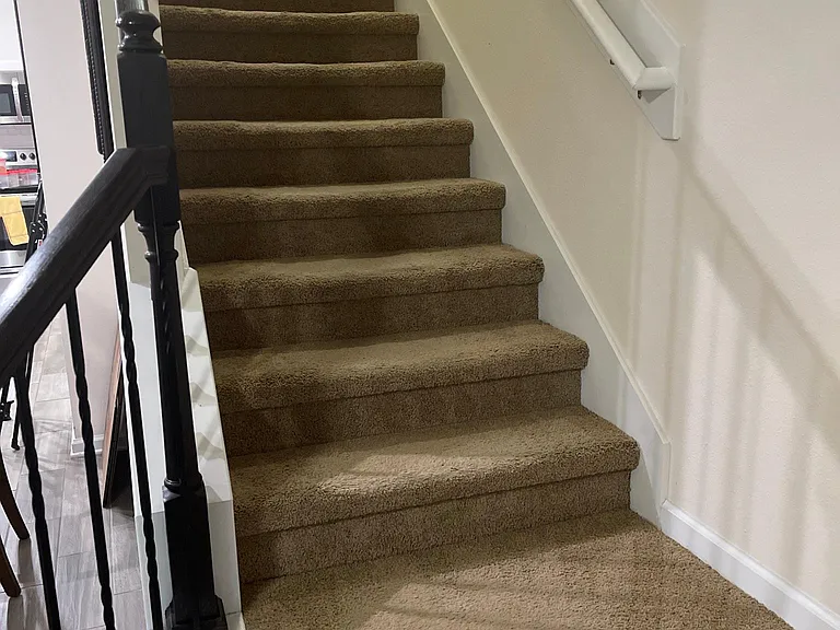 298 Servia Dr — Photo 8