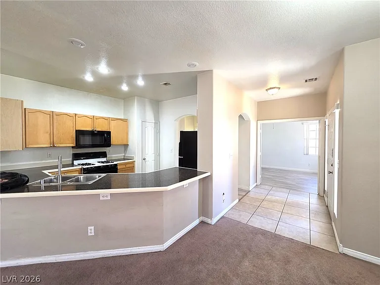 9105 Sparkling Star St — Photo 11