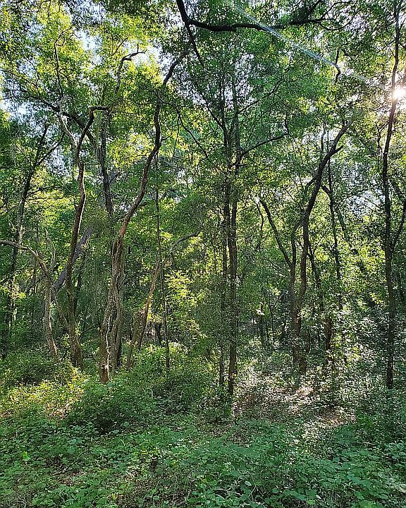 1st image of Joslyn Ln
