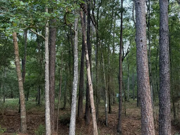 43 Sims Oak Rd, Splendora, TX 77372