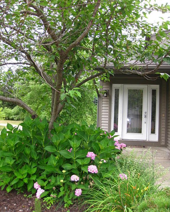 1st image of 411 Harbor Lake Dr