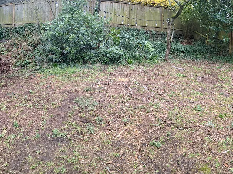 Upstairs portion of backyard
