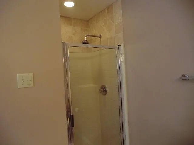 Master Bathroom Shower